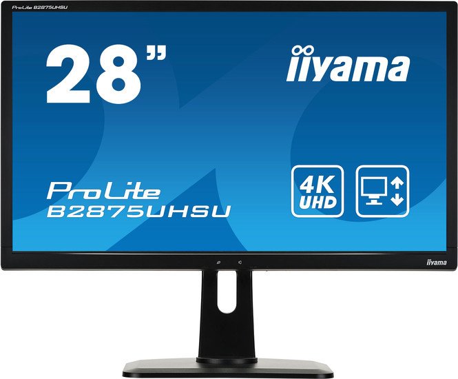 Монитор Iiyama ProLite B2875UHSU-B1